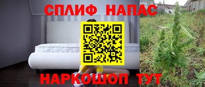 PSILOCYBIN Обнинск